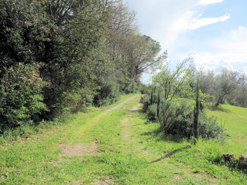Bel casale ristrutturato in posizione panoramica con ampio terreno in vendita a Civitella Paganico