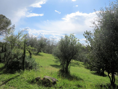 Bel casale ristrutturato in posizione panoramica con ampio terreno in vendita a Civitella Paganico