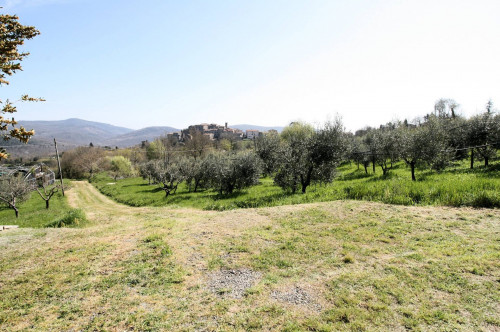 Complesso immobiliare in stile rustico Toscano in posizione panoramica in vendita a Roccastrada