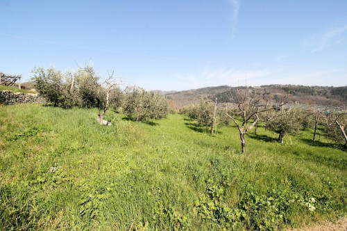 Complesso immobiliare in stile rustico Toscano in posizione panoramica in vendita a Roccastrada