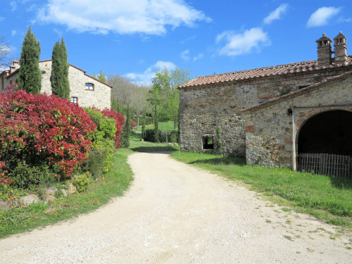 Antico podere da ristrutturare in vendita a Montieri