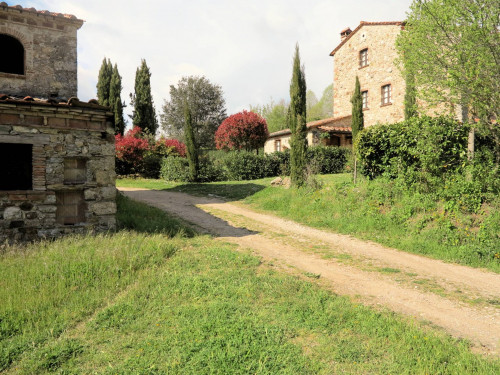 Antico podere da ristrutturare in vendita a Montieri
