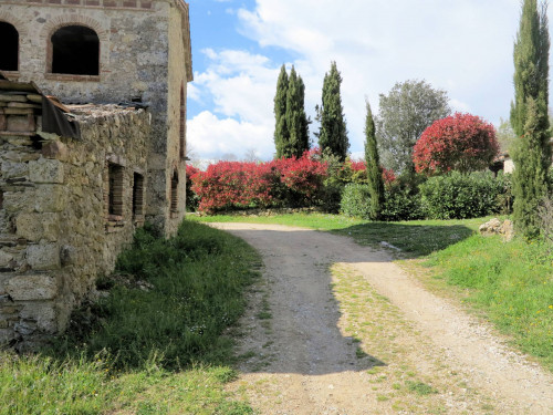 Antico podere da ristrutturare in vendita a Montieri