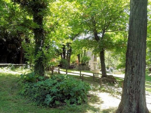 Agriturismo in antico borgo ristrutturato con parco e piscina in vendita a Roccastrada