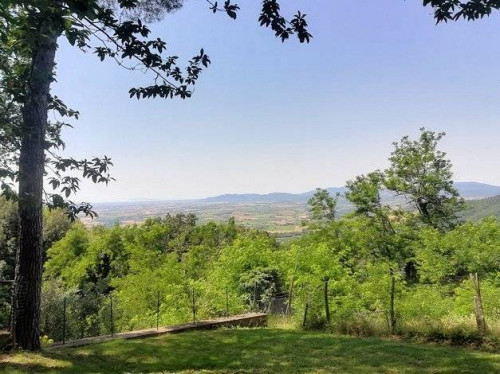 Agriturismo in antico borgo ristrutturato con parco e piscina in vendita a Roccastrada