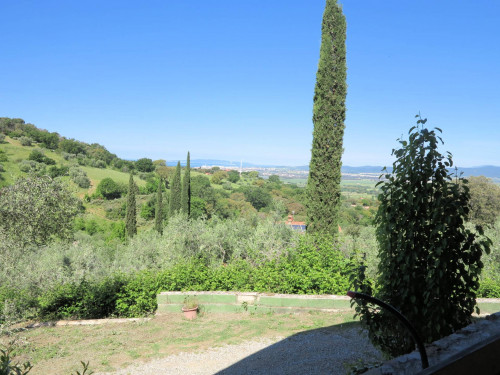 Annesso agricolo con vista panoramica in vendita a Scarlino