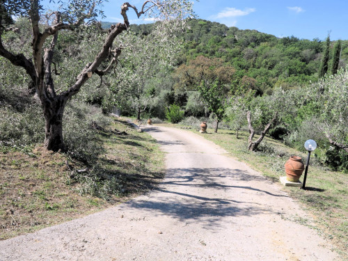 Annesso agricolo con vista panoramica in vendita a Scarlino