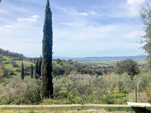 Annesso agricolo con vista panoramica in vendita a Scarlino