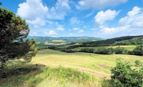 Azienda agricola con villa e piscina in vendita a Lajatico