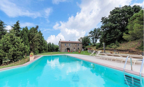 Azienda agricola con villa e piscina in vendita a Lajatico