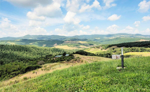 Azienda agricola con villa e piscina in vendita a Lajatico