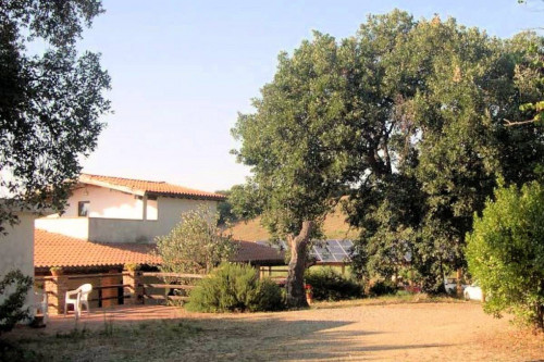 Azienda agricola in posizione collinare con vista mare in vendita a Magliano in Toscana