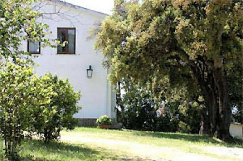 Azienda agricola in posizione collinare con vista mare in vendita a Magliano in Toscana
