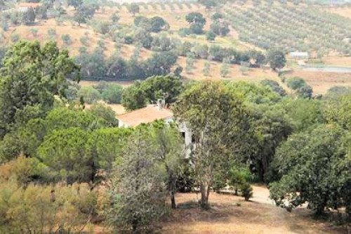 Azienda agricola in posizione collinare con vista mare in vendita a Magliano in Toscana