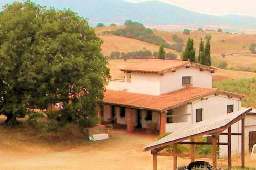 Azienda agricola in posizione collinare con vista mare in vendita a Magliano in Toscana