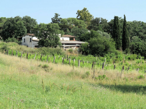 Azienda agricola in posizione collinare con vista mare in vendita a Magliano in Toscana