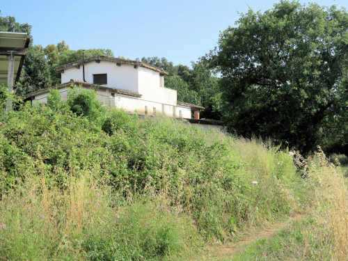 Azienda agricola in posizione collinare con vista mare in vendita a Magliano in Toscana