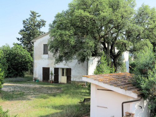 Azienda agricola in posizione collinare con vista mare in vendita a Magliano in Toscana