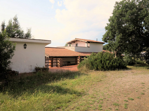Azienda agricola in posizione collinare con vista mare in vendita a Magliano in Toscana