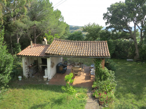 Azienda agricola in posizione collinare con vista mare in vendita a Magliano in Toscana