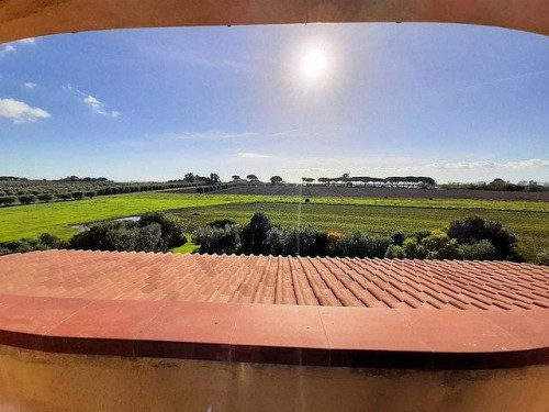 Complesso immobiliare di ampia superficie con terreni in vendita a Capalbio