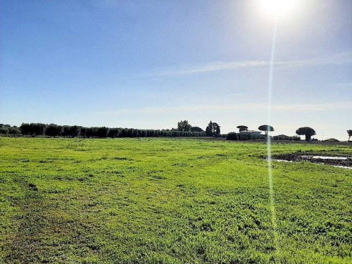 Complesso immobiliare di ampia superficie con terreni in vendita a Capalbio