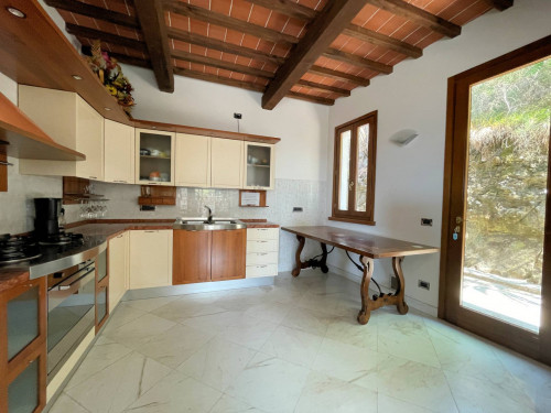 Complesso immobiliare di ampia superficie  in posizione collinare con parco e piscina in vendita a Pescia