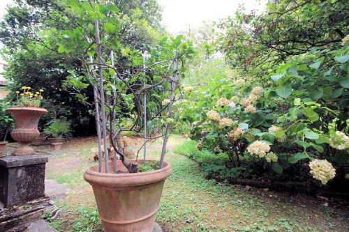 Palazzo nobile del 1700 con giardino in vendita a Pescia