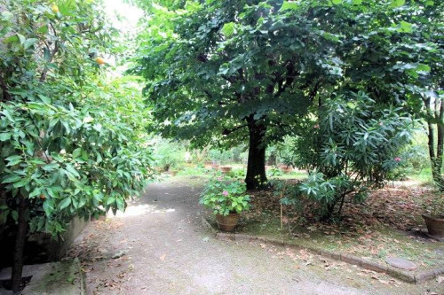 Palazzo nobile del 1700 con giardino in vendita a Pescia