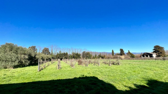 Villa in posizione esclusiva da ristrutturare in vendita a Lucca