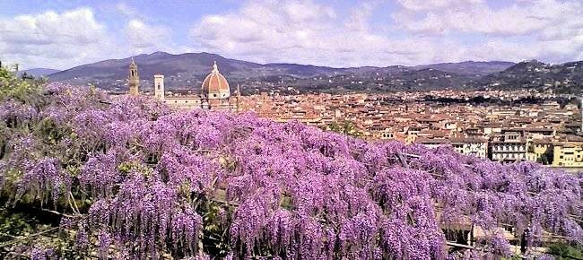 Appartamenti di varie metrature e tipologie in città in vendita a Firenze