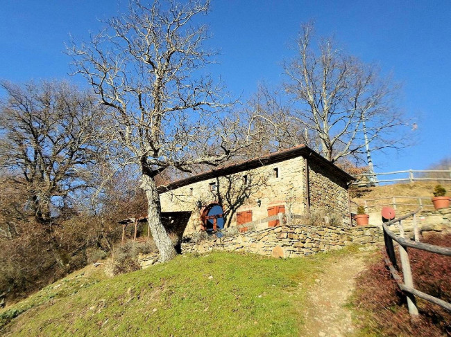 Podere in posizione panoramica con attività agrituristica con ampio terreno in vendita a Pratovecchio Stia