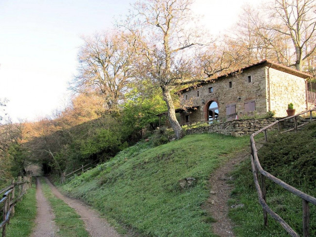 Podere in posizione panoramica con attività agrituristica con ampio terreno in vendita a Pratovecchio Stia