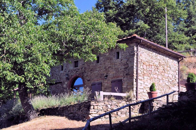 Podere in posizione panoramica con attività agrituristica con ampio terreno in vendita a Pratovecchio Stia