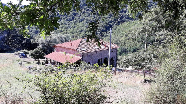 Podere in posizione panoramica con attività agrituristica con ampio terreno in vendita a Pratovecchio Stia
