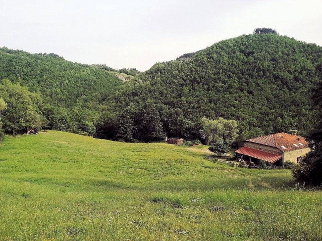 Podere in posizione panoramica con attività agrituristica con ampio terreno in vendita a Pratovecchio Stia