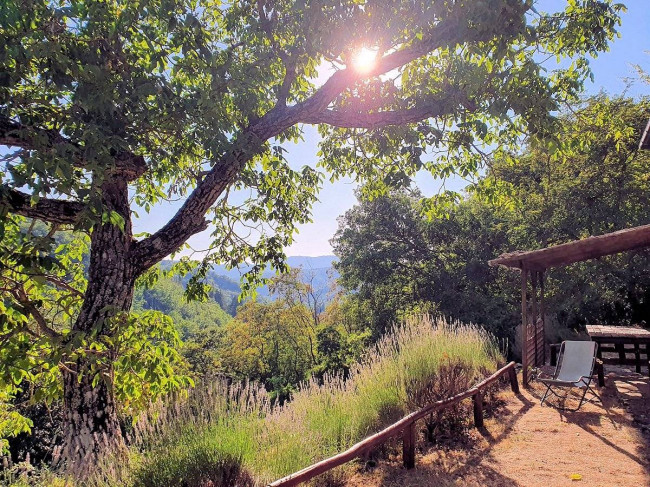 Podere in posizione panoramica con attività agrituristica con ampio terreno in vendita a Pratovecchio Stia