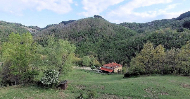 Podere in posizione panoramica con attività agrituristica con ampio terreno in vendita a Pratovecchio Stia