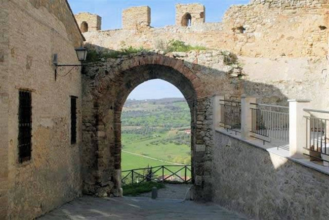 Azienda vitivinicola Morellino di Scansano con agriturismo in vendita a Grosseto