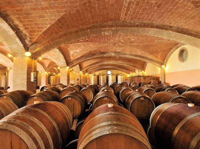 Azienda vitivinicola Morellino di Scansano con agriturismo in vendita a Grosseto