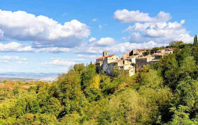 Azienda vitivinicola Morellino di Scansano con agriturismo in vendita a Grosseto