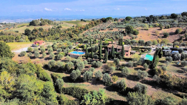 Azienda agricola in posizione panoramica in vendita a Montaione