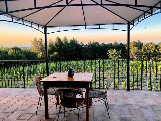Azienda agricola in posizione panoramica in vendita a Montaione