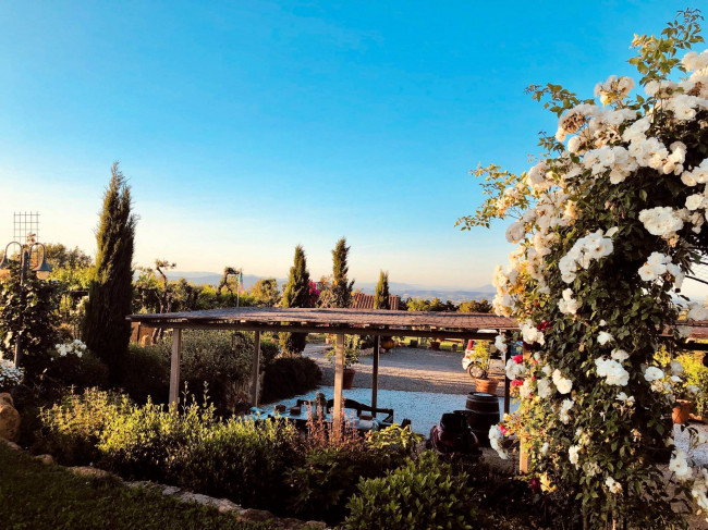 Azienda agricola in posizione panoramica in vendita a Montaione