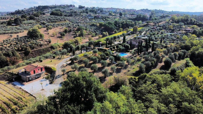 Azienda agricola in posizione panoramica in vendita a Montaione