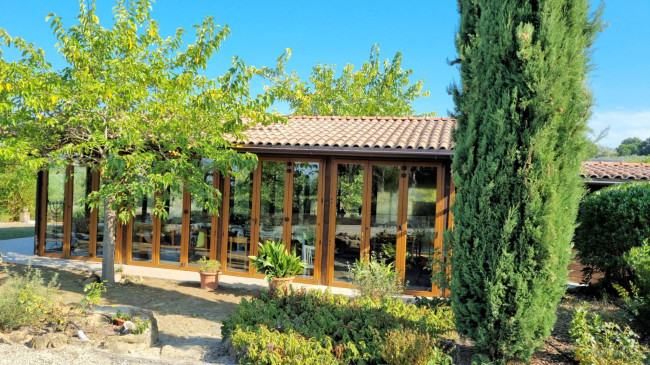 Azienda agricola in posizione panoramica in vendita a Montaione