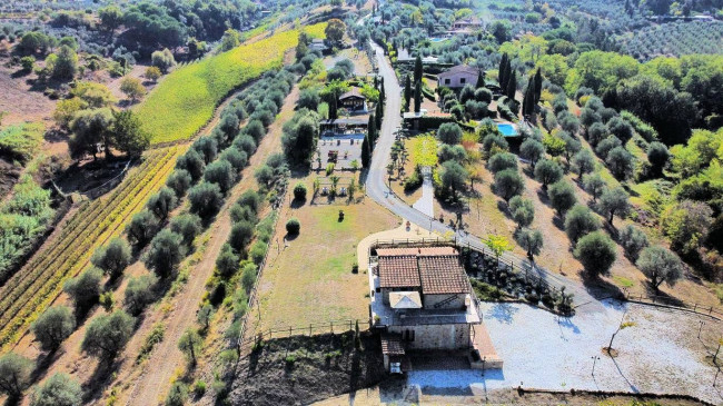 Azienda agricola in posizione panoramica in vendita a Montaione
