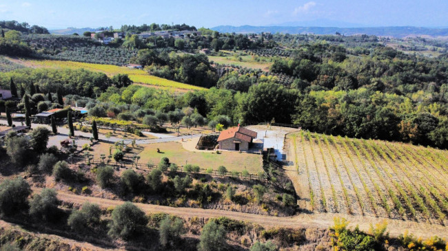 Azienda agricola in posizione panoramica in vendita a Montaione