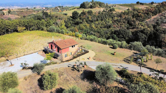 Azienda agricola in posizione panoramica in vendita a Montaione