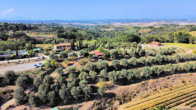 Azienda agricola in posizione panoramica in vendita a Montaione